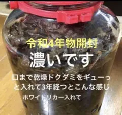 ドクダミチンキ 100ml +30ml 令和4年物開封②