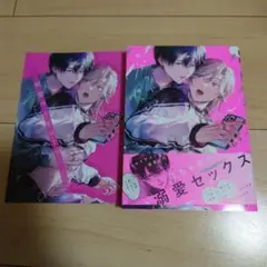 BL※即購入不可