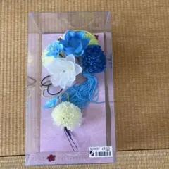 Item thumbnail for item ceec22e4-21a7-4c82-97c5-f7a5076d3626