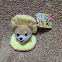 旅するマメしば　北海道ホタテ