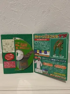 モンスターファーム CD レア　懸賞　非売品