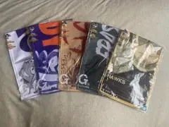 Item thumbnail for item b581a916-39dd-4349-b132-79a50a1beb48