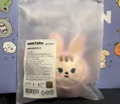 SEVENTEEN ミニティーン ジョンハン トラム コインポーチ 新品