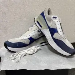 Nike Air Max グレー/ネイビー シューズ