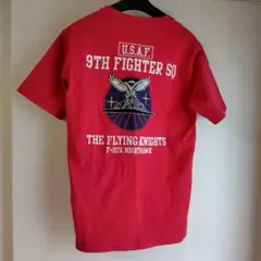 『美品』AVIREX F-117A Nighthawk Tシャツ　 Lサイズ