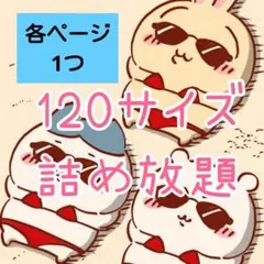詰め放題　【120サイズ】　③