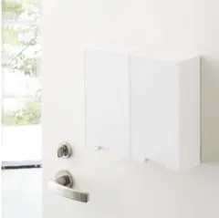 山崎実業 タワー tower マスクケース