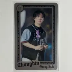 Stray Kids チャンビン ライブフォトカード