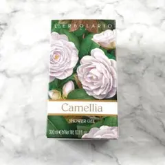 Item thumbnail for item cc24ab85-4489-42e4-917b-0116309f1edb