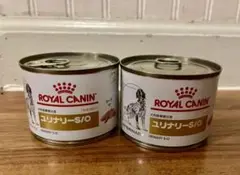 Item thumbnail for item e2745f6c-4651-46a8-aead-5517082bc212