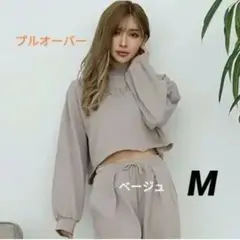定価13,860円 アシックス ブラトップ レギンス セットアップ