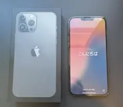 iPhone 13 Pro Max 256GB SIMロックなし Apple