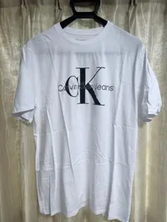 カルバンクライン メンズ Tシャツ グレーライン US Mサイズ