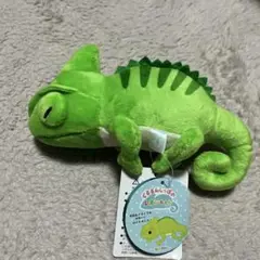 くるるんしっぽのレオンちゃん