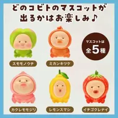 こびとづかん バスボール スモモノウチ レモンスマシ
