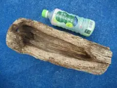 天然 樹洞 クワリウム 登り木 貫通3穴 №99