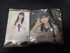 Item thumbnail for item d612f5e1-a2c6-4480-b689-128ac40ec037