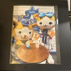 横浜DeNAベイスターズ スターマン キララ &9 ノベルティ