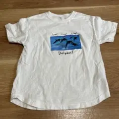 キッズ　イルカ　Tシャツ