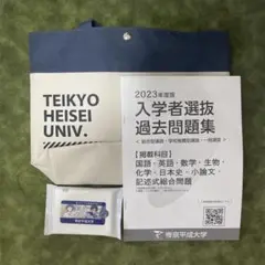 帝京平成大学　2023年度過去問　トートバッグ　ウェットティッシュ