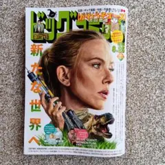 ビッグコミック　8/25