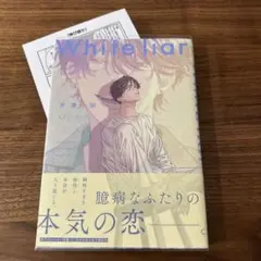 ホワイトライアー White liar 芹澤知