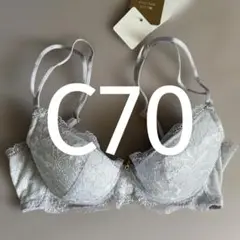 C70 ウイング/ワコール レシアージュ ブラジャー PB1000