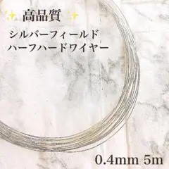 Item thumbnail for item 6aebccc3-3b56-4a20-a6e7-c6c5e4bd5ac1