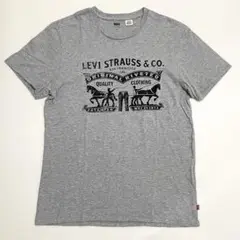 Levi's／M（やや大きめ）