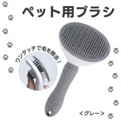 Item thumbnail for item 73e5fc31-7a8e-420b-831b-8a7b6cd47f6a