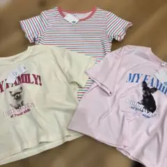 【149】西松屋 キッズ Tシャツ 3点セット 女の子 140cm 150cm