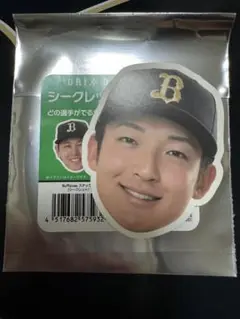 #オリックスバファローズ　#山﨑颯一郎　選手