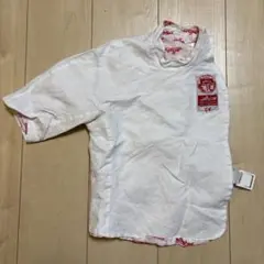 Item thumbnail for item 187219b1-8b73-491a-8a19-23f44ade8018