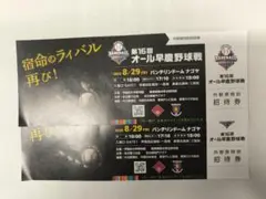 第16回オール早慶野球戦　外野席招待券