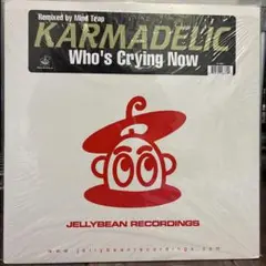 Karmadelic -Who's Crying Now レコード
