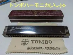 Item thumbnail for item 40902027-9993-41fb-8928-f5cd463ff472