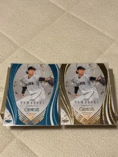 Item thumbnail for item 3700a243-a9ad-45d6-8e62-8e3c4e18a816