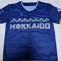 【非売品】WE LOVE HOKKAIDO ユニフォーム