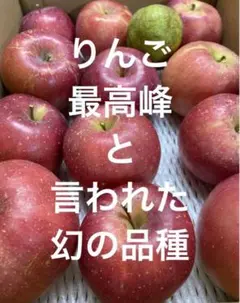 減農薬栽培山形県東根市産りんご北斗 人気過ぎて小玉のみ販売っ2キロ箱満タン