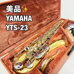 プロメンテ済 YAMAHA YTS-23 テナーサックス ハードケース MP YAMAHA YTS-875EX テナーサックス用 純正ハードケース【服部