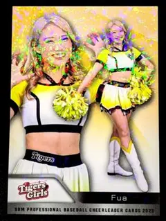 Item thumbnail for item c614300e-d8fc-4d2b-aa85-e9fd968984e2