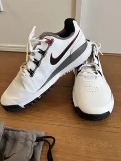 Nike ゴルフシューズ　タイガーウッズモデル　TW13　28cm　バック付 美品 TW13 GOLF ゴルフ シューズ 27.5 色濃く ナイキ タイガー