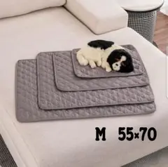 Item thumbnail for item 05c0058e-9a8f-4b8e-ba5d-be9207b0a05e