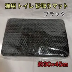 Item thumbnail for item 658ce2e5-a62c-40c7-a707-fbba16e714b1
