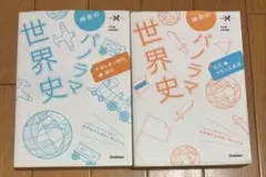 神余のパノラマ世界史 2冊セット