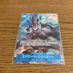 ワンピースカード　エドワード　ニューゲート　パラレル