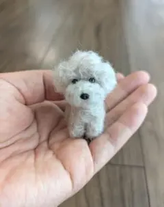 手乗りわんこ　トイプードル　全身