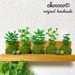 レジンワイヤークラフト ディップアート アメリカンフラワー《ミニ苔玉5種》