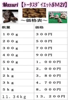162.【500g】リクガメフード トータスダイエット5M21
