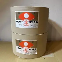 Item thumbnail for item e90a4289-4c34-41c1-b7c5-72ddd36da06b